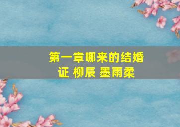 第一章哪来的结婚证 柳辰 墨雨柔